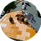 commercial-roof-grizzly-roofs